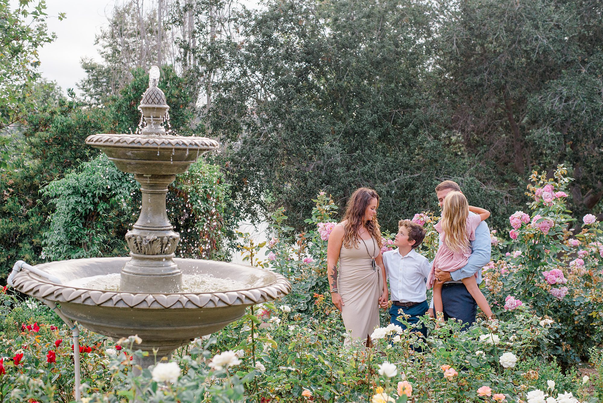 family portraits in rose garden by fountain
