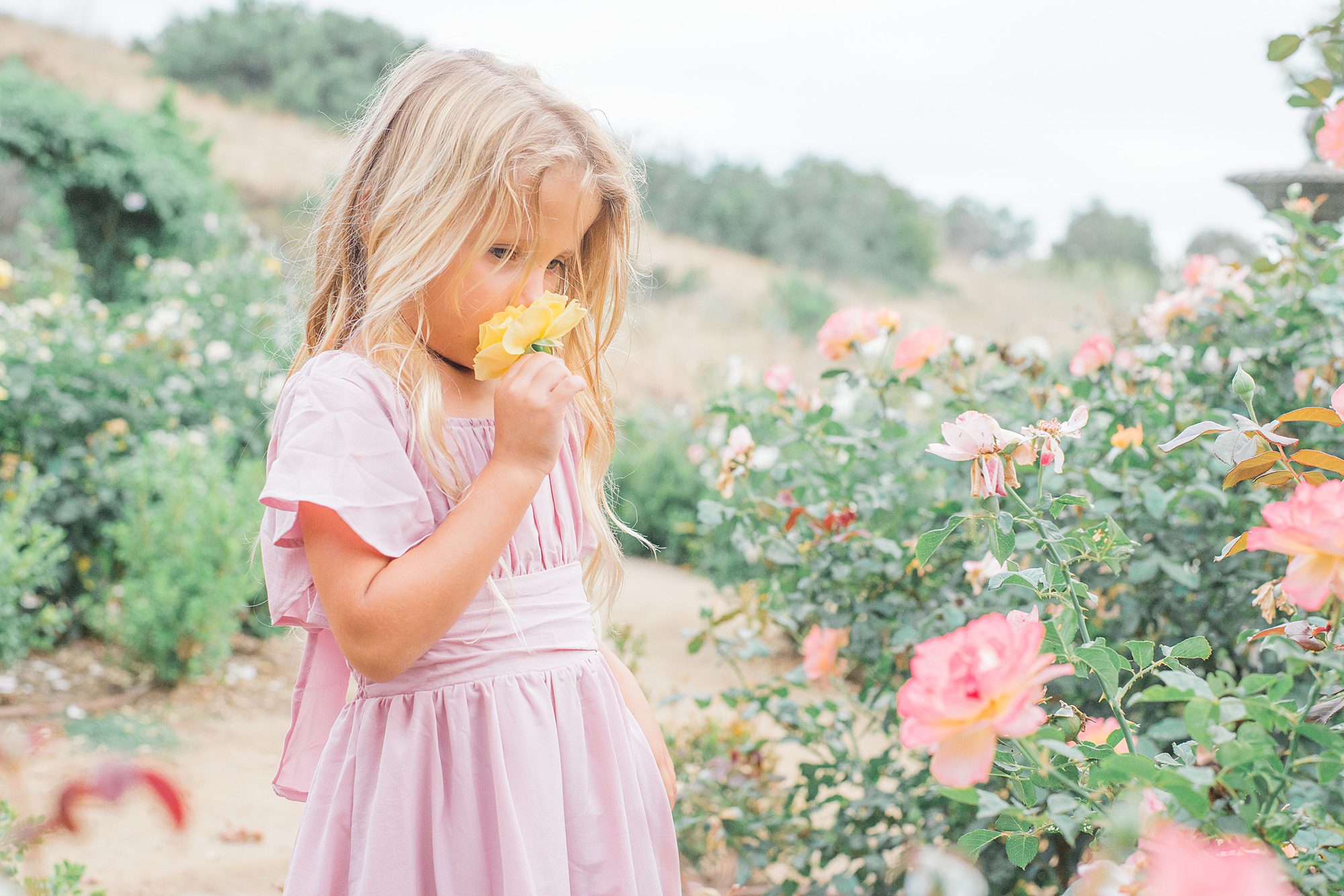 little girl smells yellow flower during Summer Garden Extended Family Session