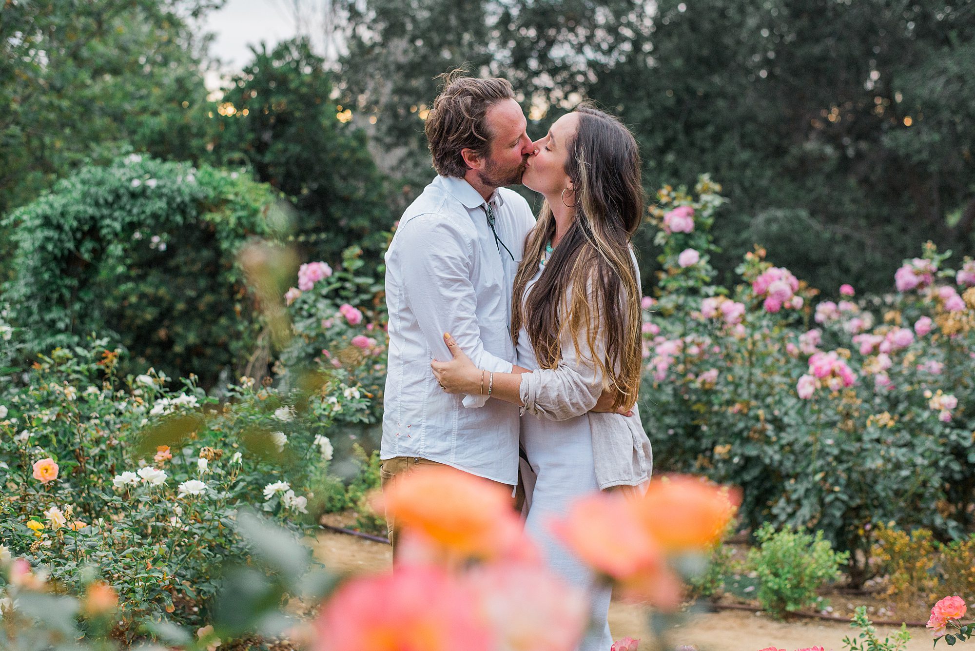 couple kiss in rose garden